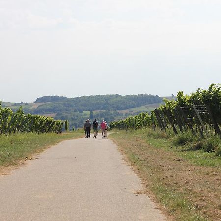 Ferienwohnung Familie Seuferle Schweigen-Rechtenbach Exterior foto